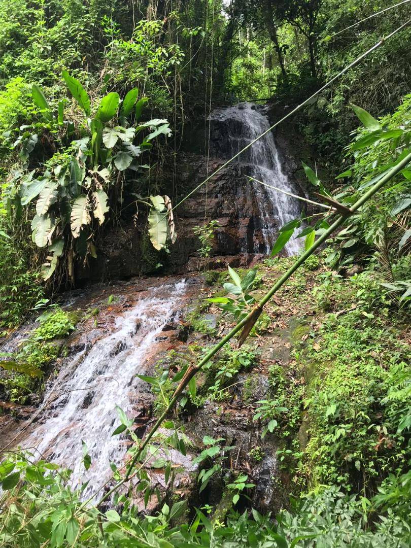 Terreno no Fachinal em Corupa / SC