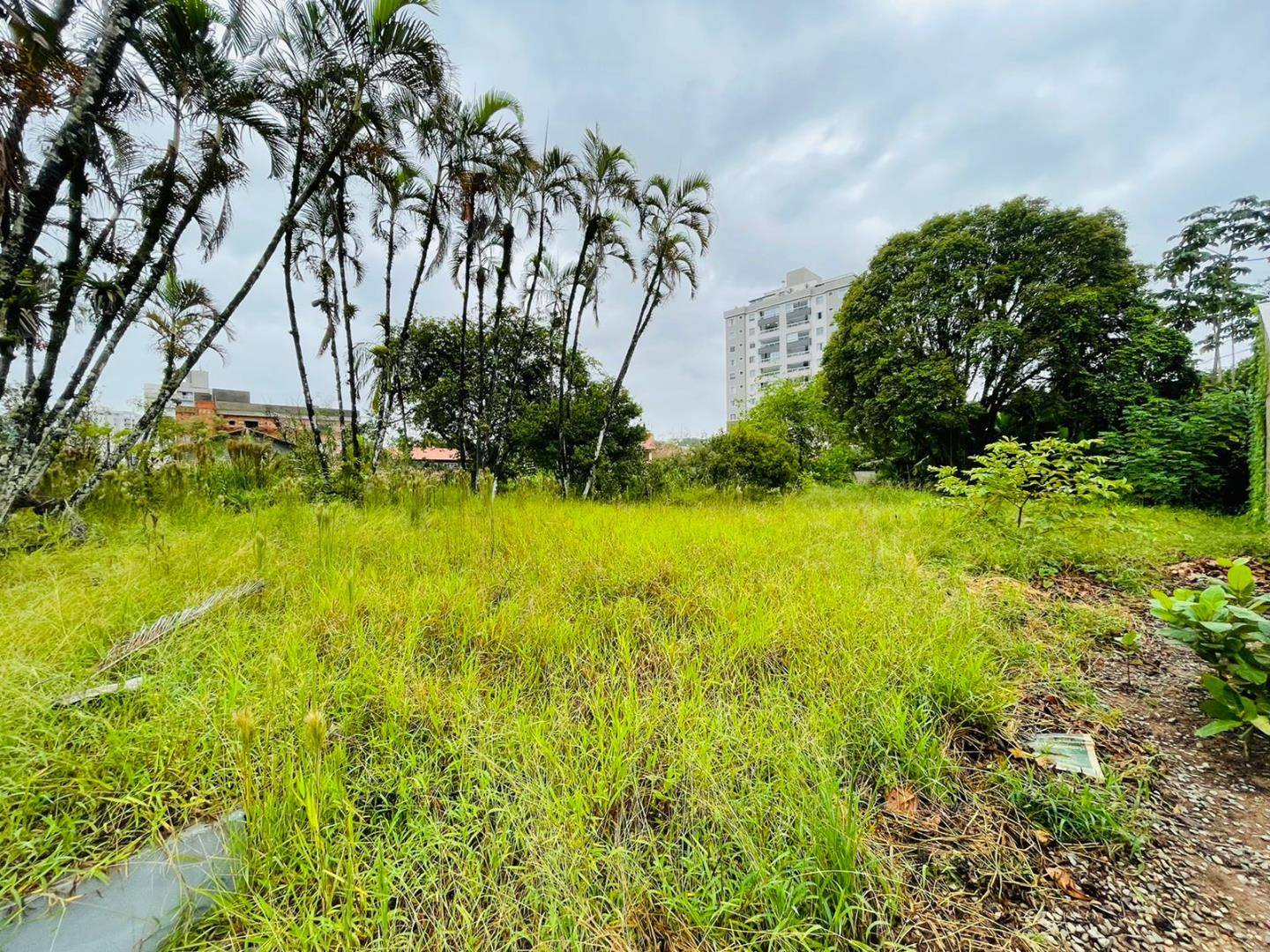 Terreno no Centro em Jaragua do Sul / SC