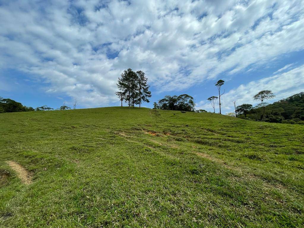 Terreno no Guaramirim em Guaramirim / SC