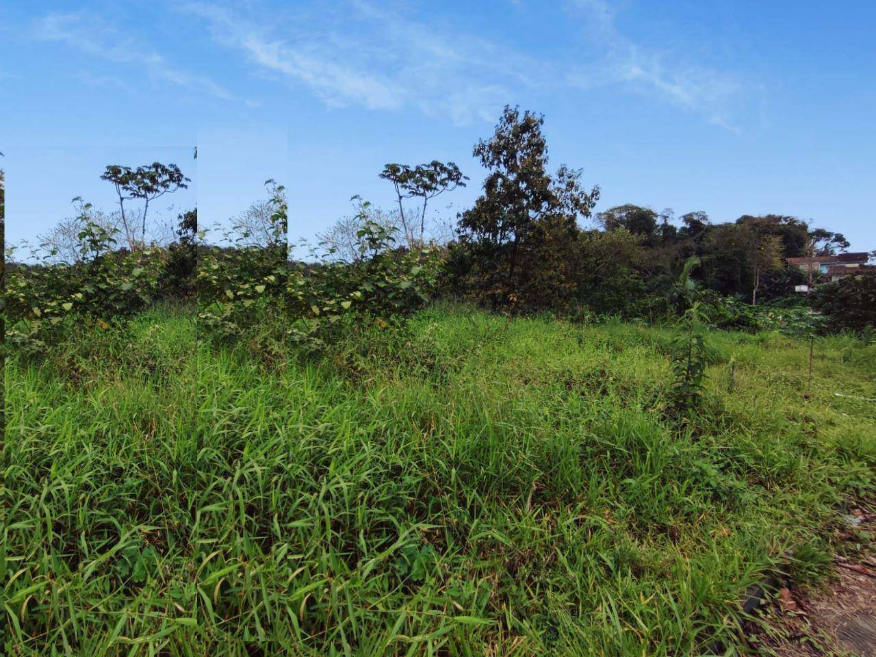 Terreno no Tifa Martins em Jaragua do Sul / SC