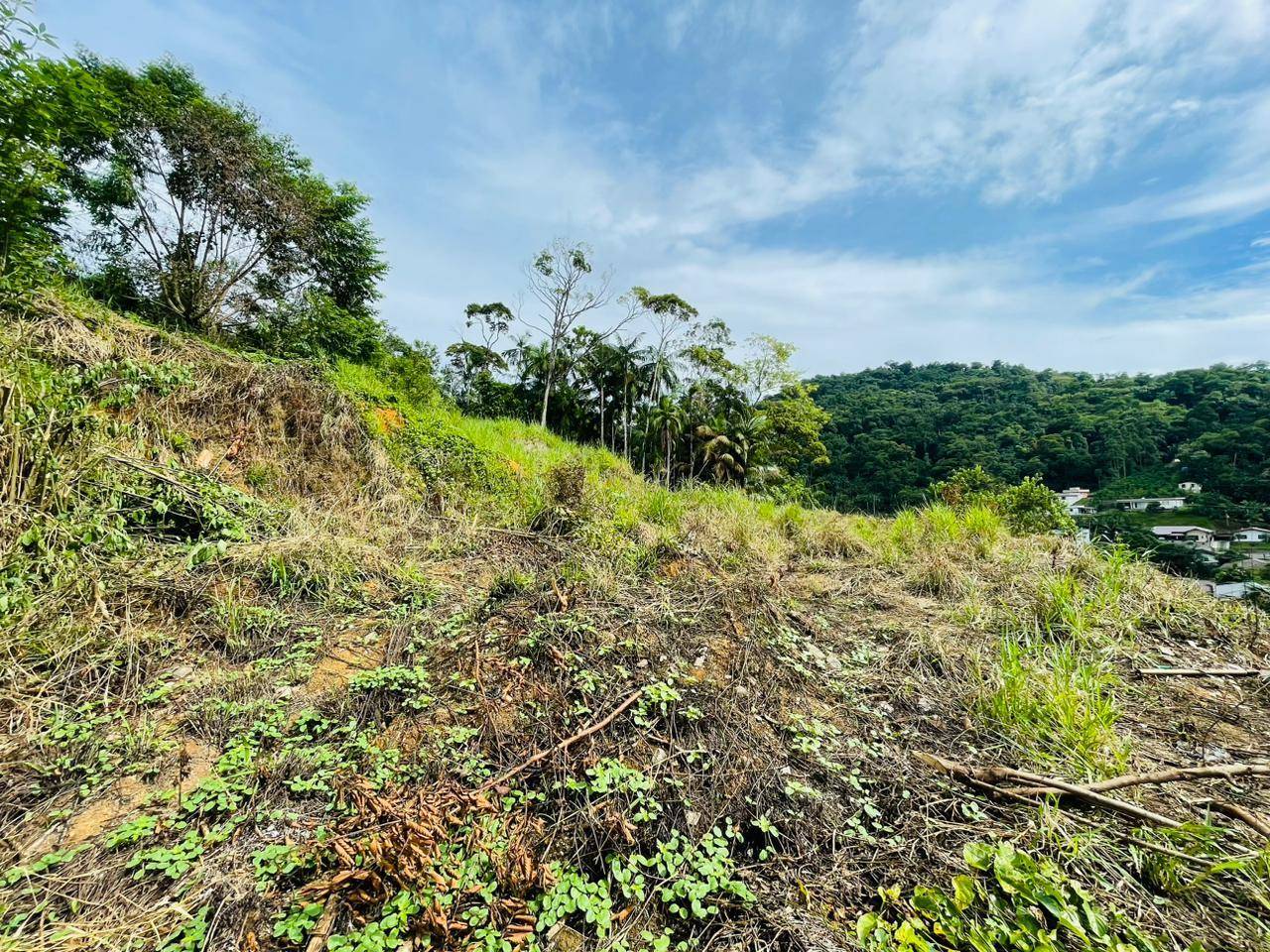 Terreno no Chico de Paulo em Jaragua do Sul / SC