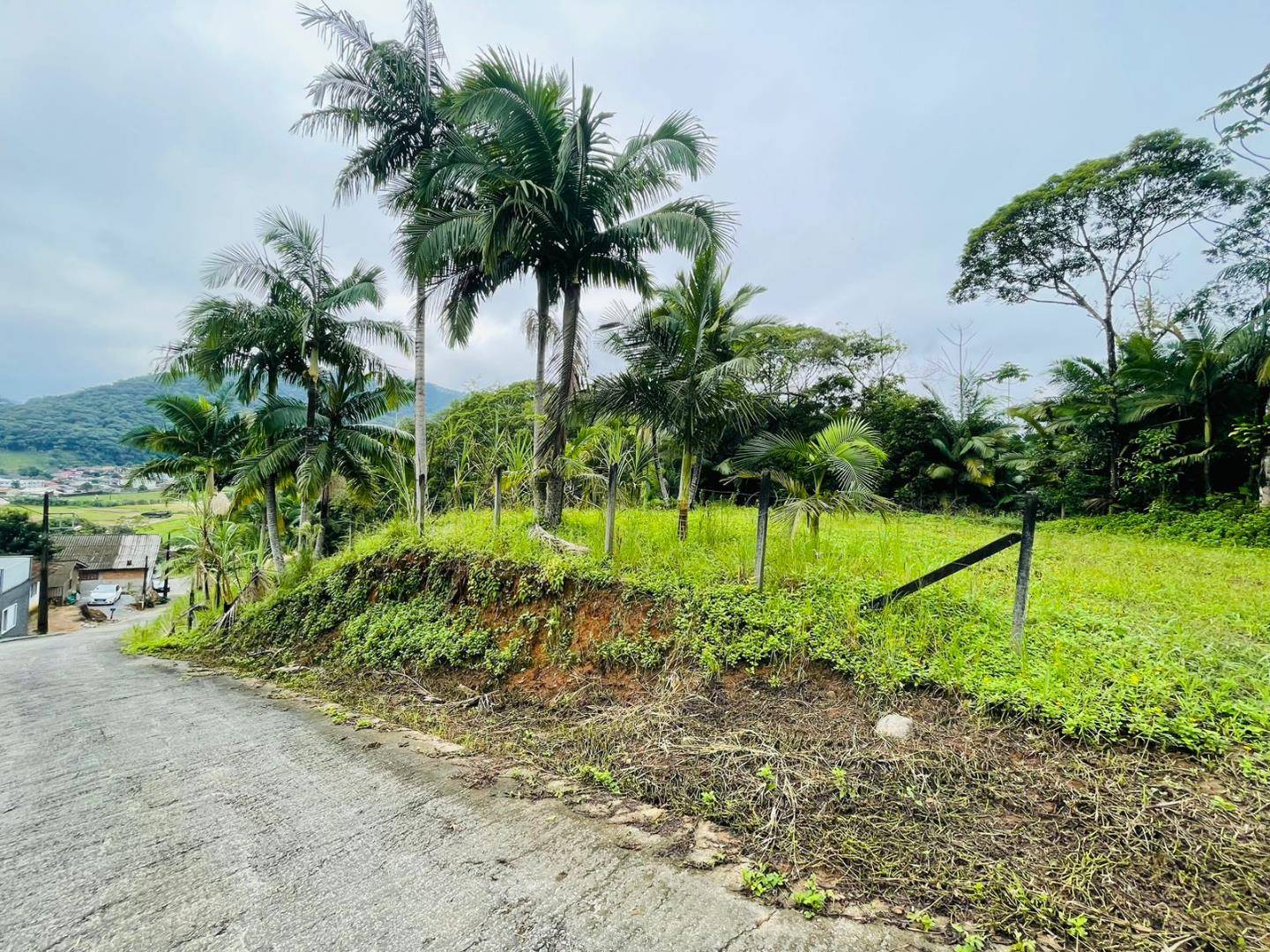 Terreno no Ilha da Figueira em Jaragua do Sul / SC