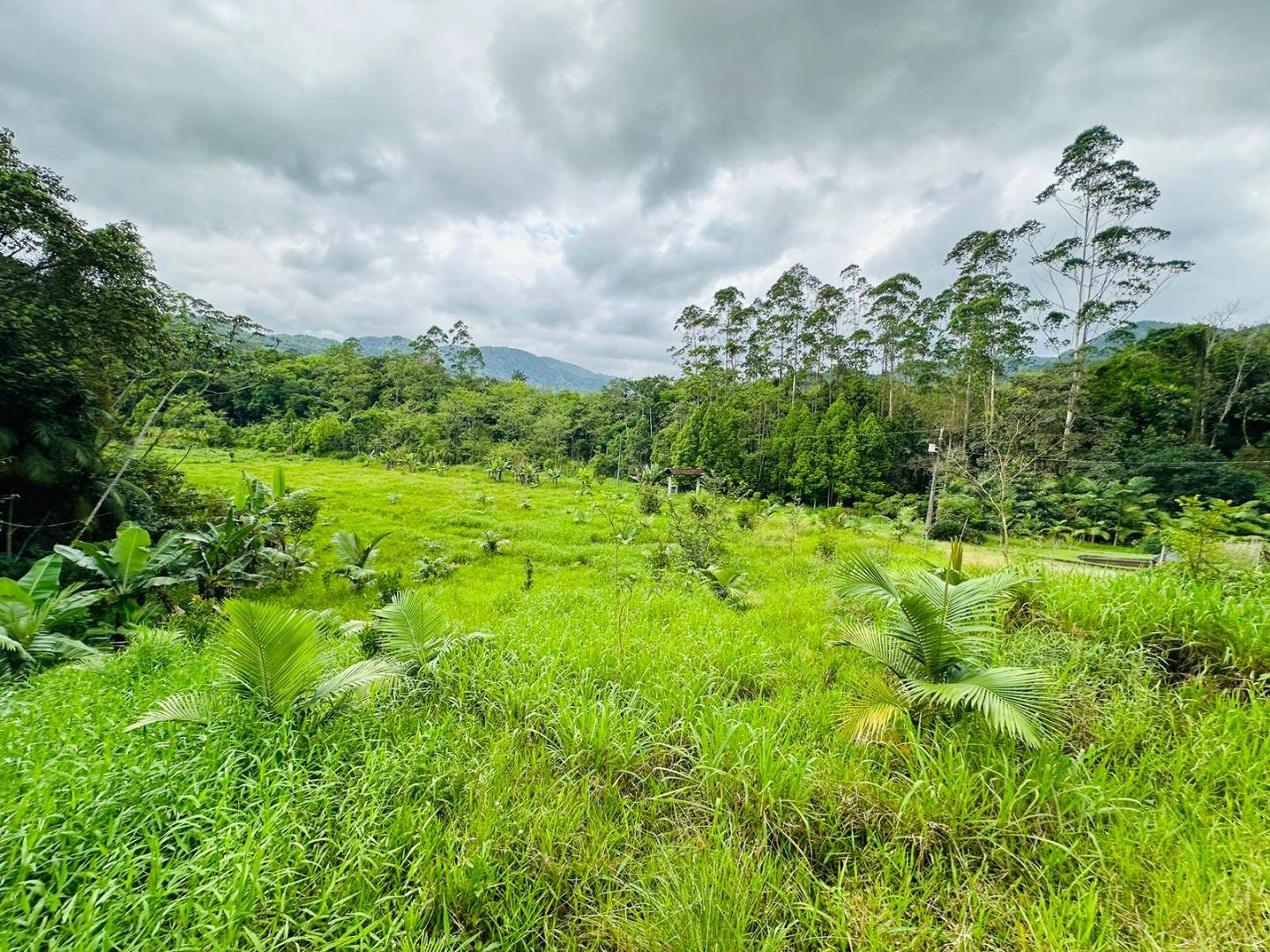 Chácara no Rio Cerro II em Jaragua do Sul / SC