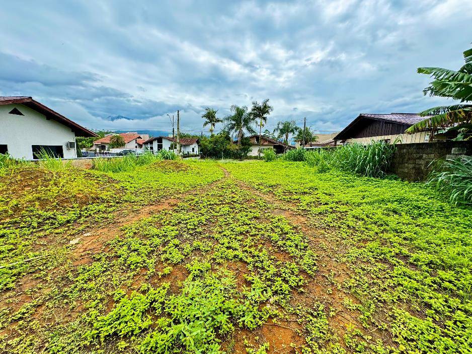 Terreno no Nereu Ramos em Jaragua do Sul / SC