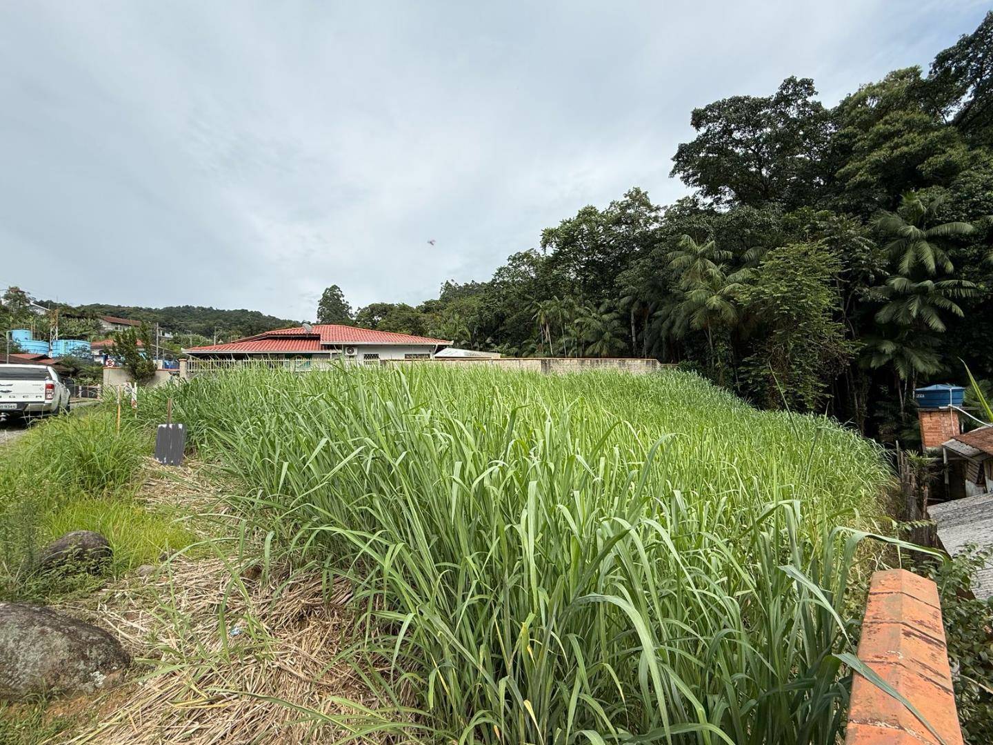 Terreno no Ilha da Figueira em Jaragua do Sul / SC
