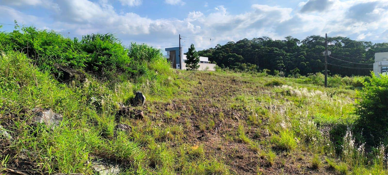Terreno no Tifa Martins em Jaragua do Sul / SC