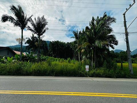 Terreno no Rio Hern em Schroeder / SC