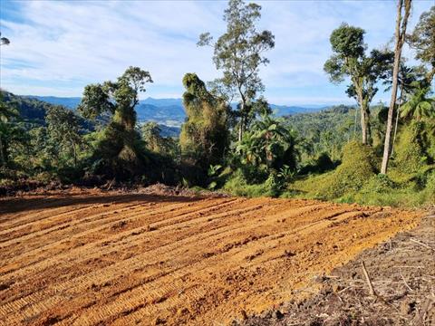 Chácara no Barra do Rio Molha em Jaragua do Sul / SC