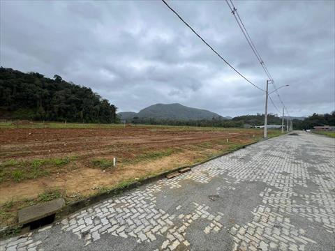 Terreno no Centro Norte em Schroeder / SC