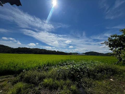 Terreno no Poço Grande em Guaramirim / SC