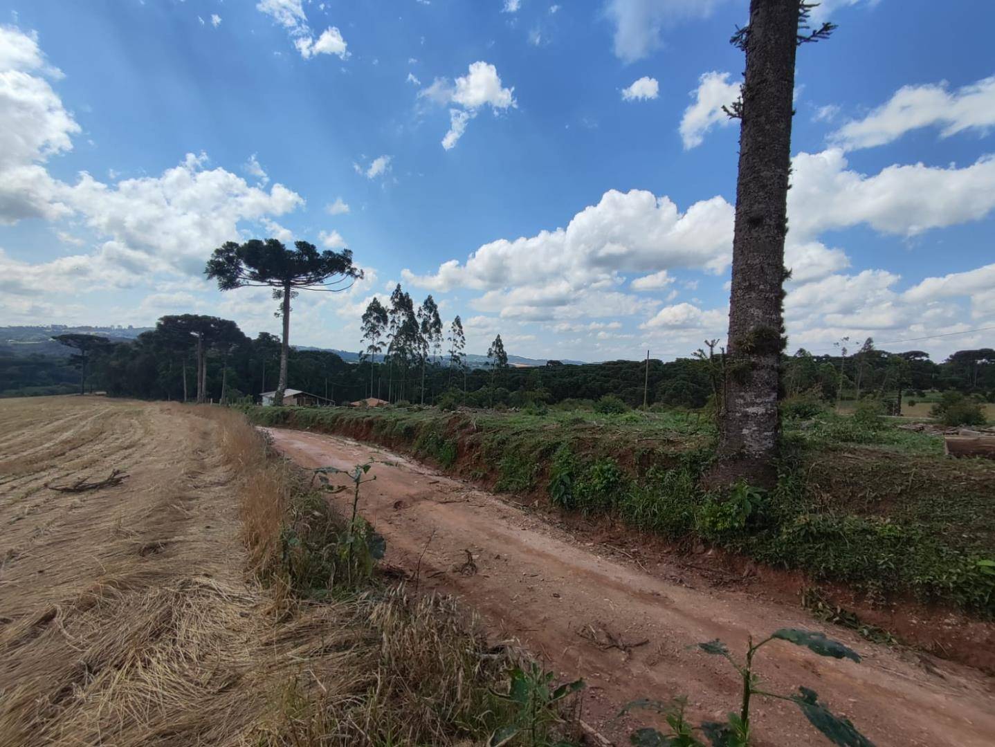 Área para venda no Castro em Castro com 8,25m² por R$ 3.500.000,00