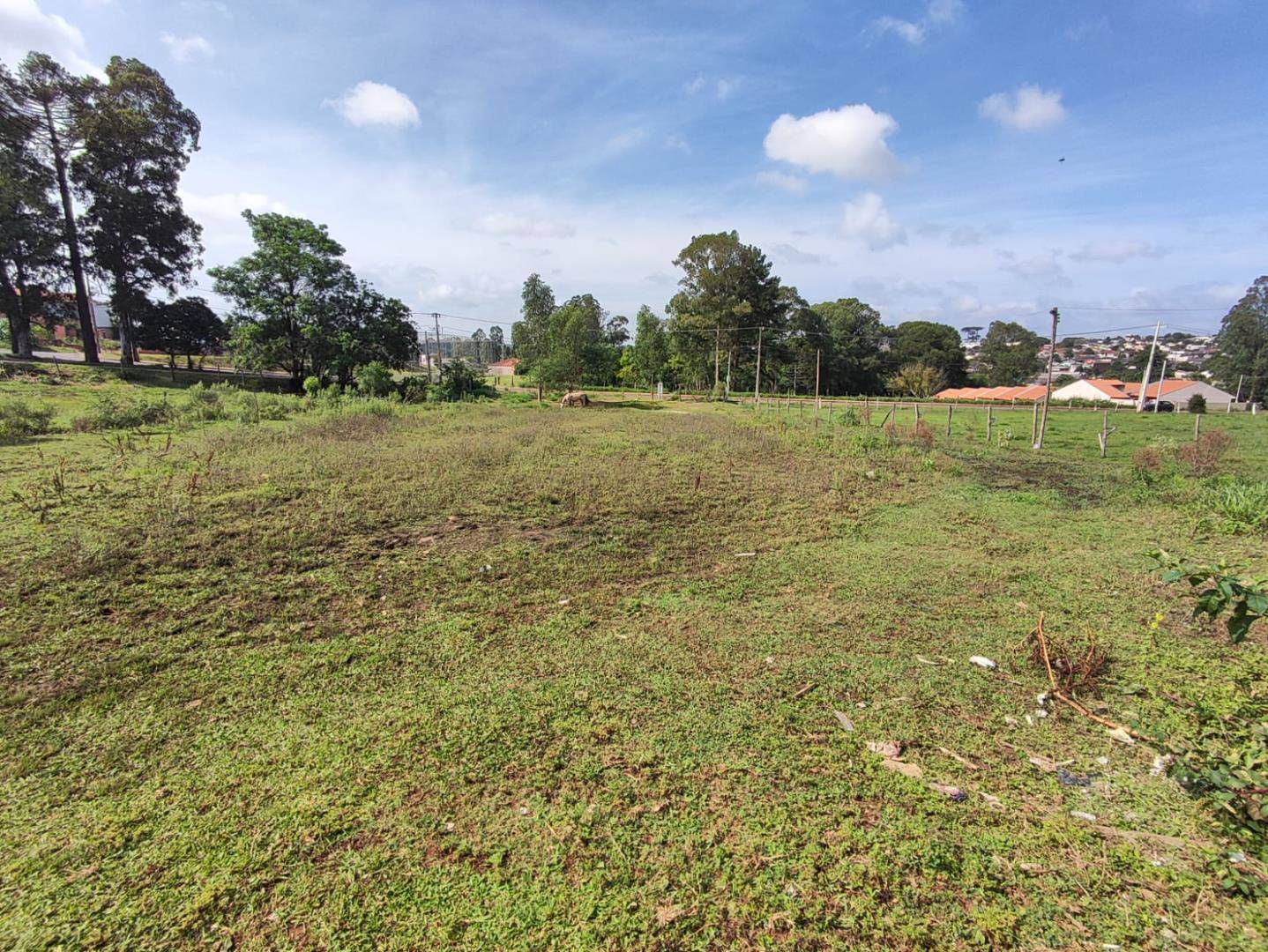 Terreno para venda no Uvaranas em Ponta Grossa com 2.948m² por R$ 890.000,00