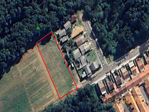 Terreno / Lote para venda no Vila Brasila em Mandirituba com 0m² por R$ 540.000,00