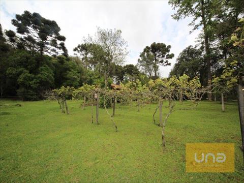 Terreno para venda no Vila Franca em Piraquara com 30.357m² por R$ 4.500.000,00