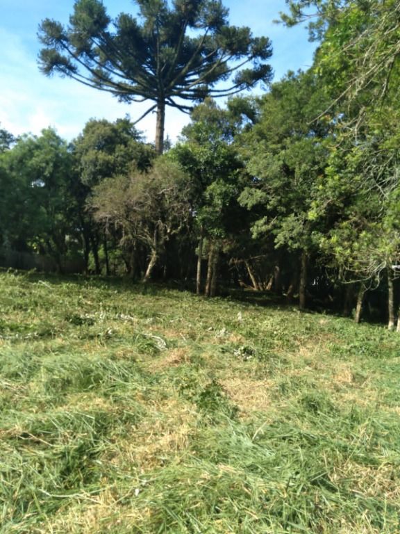 Terreno para venda no Santa Felicidade em Curitiba com 2.685,00m² por R$ 1.700.000,00