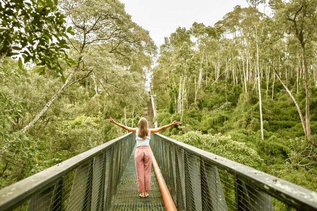 Terreno para venda no Campo Magro em Campo Magro com 701m² por R$ 690.000,00