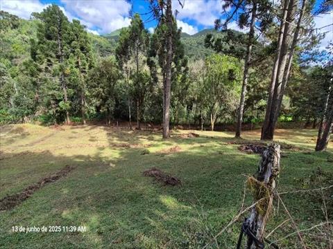 Terreno / Lote para venda no Campo Magro em Campo Magro com 0m² por R$ 199.500,00