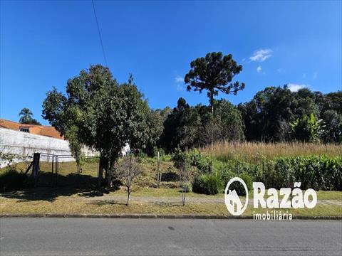 Terreno / Lote para venda no São Braz em Curitiba com 7.876,9m² por R$ 3.150.000,00