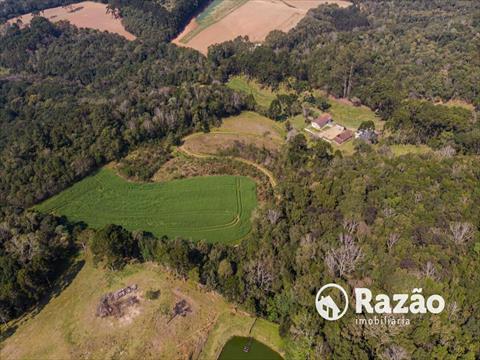 Terreno / Lote para venda no Colônia Rivieri em Campo Largo com 25.073m² por R$ 690.000,00