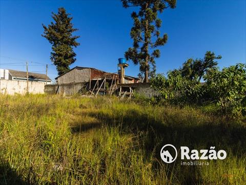 Terreno / Lote para locacao no Tingui em Curitiba com 490m² por R$ 2.000,00