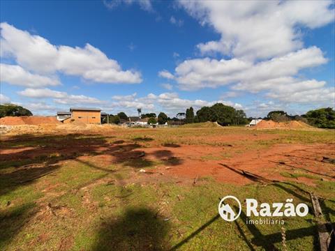 Terreno / Lote para locacao no Butiatuvinha em Curitiba com 0m² por R$ 10.000,00