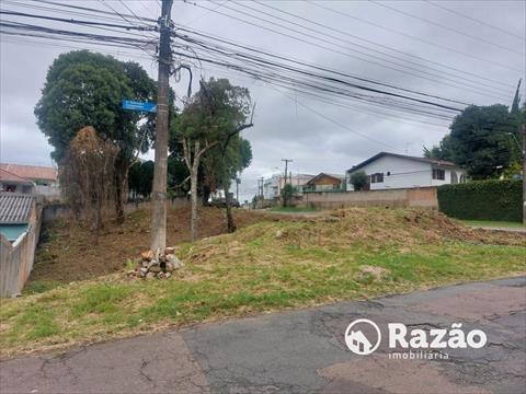 Terreno / Lote para venda no Barreirinha em Curitiba com 0m² por R$ 550.000,00