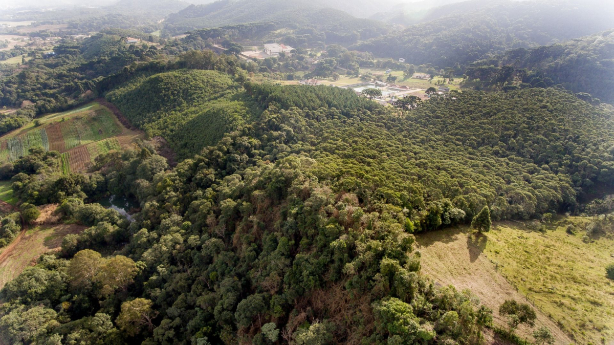 Terreno para venda no Boichininga em Almirante Tamandaré com 76.040,00m² por R$ 1.700.000,00