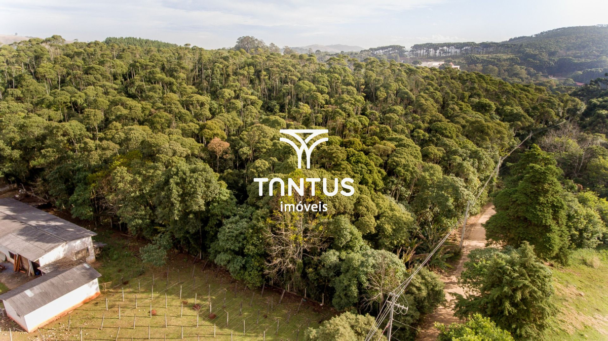 Terreno / Lote para venda no Boichininga em Almirante Tamandaré com 76.040m² por R$ 1.700.000,00