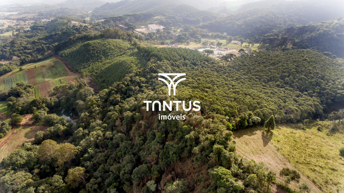 Terreno / Lote para venda no Boichininga em Almirante Tamandaré com 76.040m² por R$ 1.700.000,00