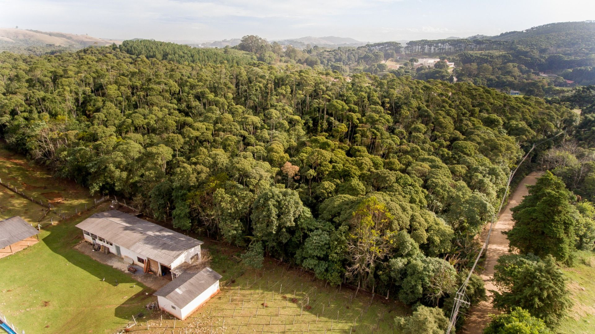 Chácara/fazenda para venda no Boichininga em Almirante Tamandaré com 76.040,00m² por R$ 1.700.000,00