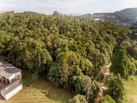 Terreno para venda no Boichininga em Almirante Tamandaré com 76.040,00m² por R$ 1.700.000,00