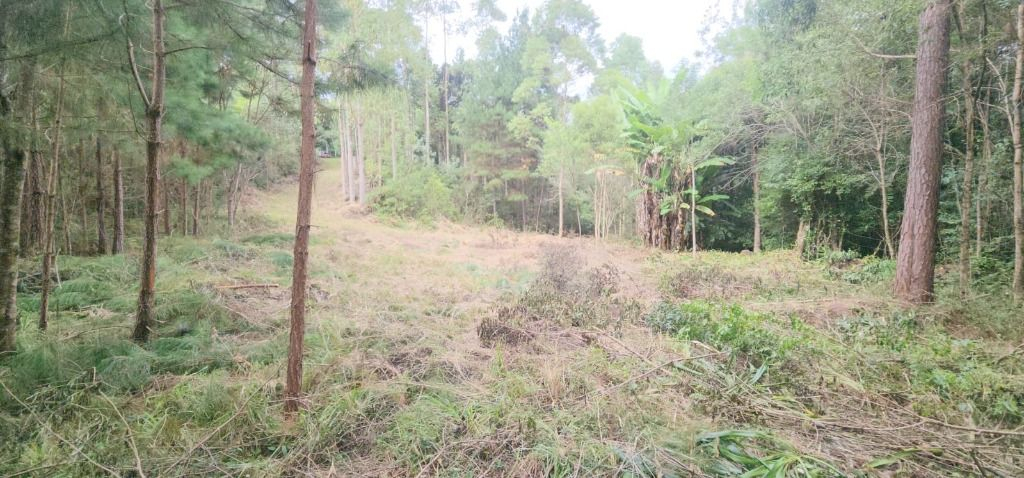 Chácara/fazenda para venda no Itaqui de Cima em Campo Largo com 197.676m² por R$ 820.000,00
