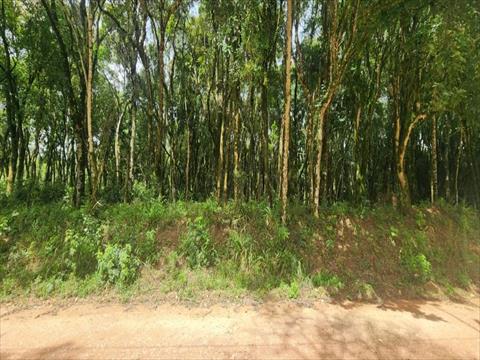 Terreno / Lote para venda no Zona Rural em Fazenda Rio Grande com 131.616m² por R$ 3.000.000,00