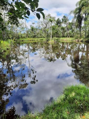 Chácara para venda no Rio das Pedras em Paranaguá com 0m² por R$ 280.000,00
