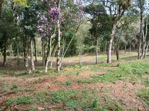 Chácara para venda no Planta Laranjeiras em Piraquara com 0m² por R$ 750.000,00