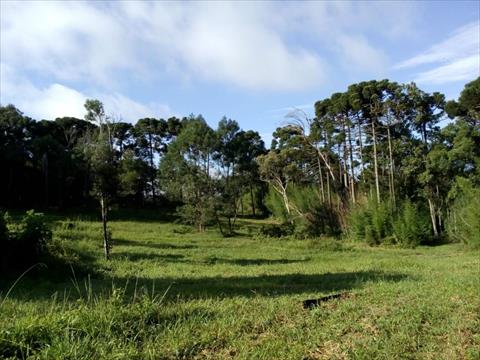 Chácara para venda no Planta Granjas Eldorado em Piraquara com 0m² por R$ 2.200.000,00
