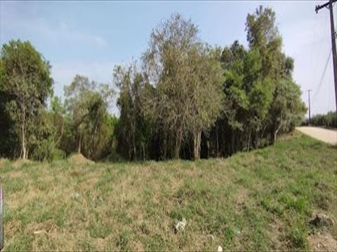 Terreno / Lote para venda no Roça Grande em Colombo com 0m² por R$ 1.400.000,00