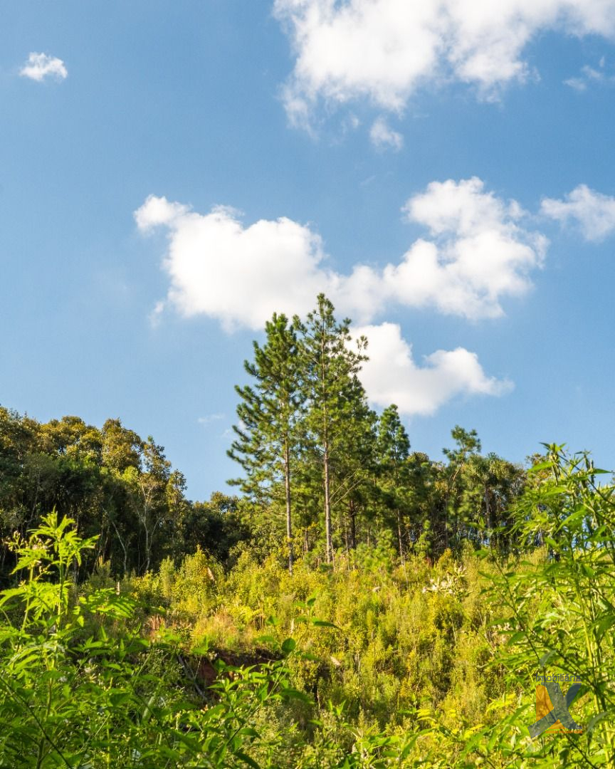 Terreno / Lote para venda no Passauna em Campo Largo com 0m² por R$ 1.000.000,00