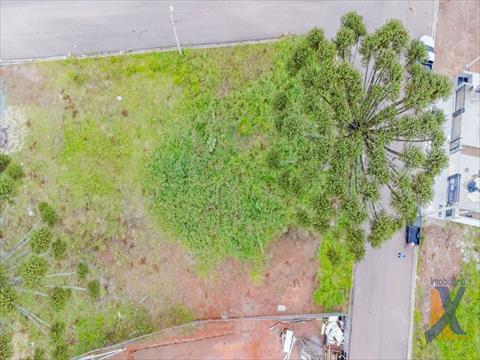 Terreno / Lote para venda no Jardim Orestes Thá em Quatro Barras com 0m² por R$ 350.000,00