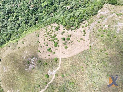 Terreno / Lote para venda no Balsa Nova em Curitiba com 20.925m² por R$ 3.200.000,00