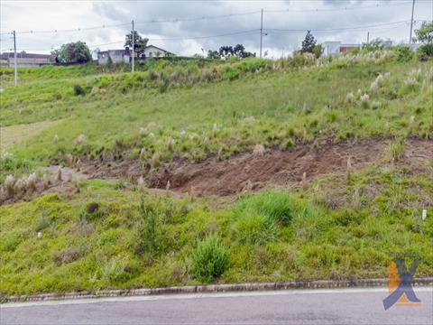 Terreno / Lote para venda no Jardim Orestes Thá em Quatro Barras com 0m² por R$ 250.000,00