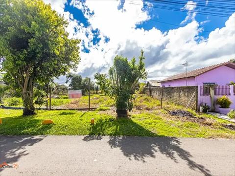 Terreno / Lote para venda no Guatupê em São José dos Pinhais com 0m² por R$ 349.000,00