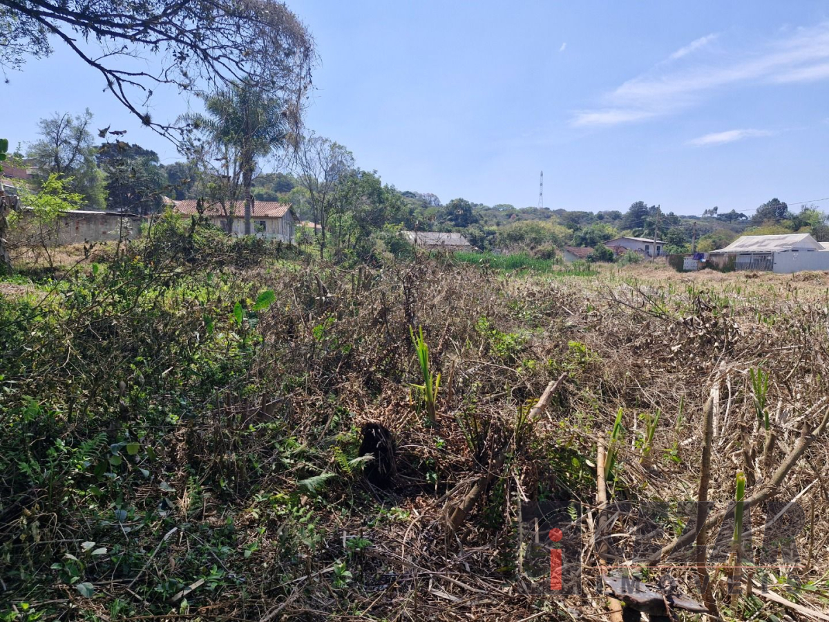 Terreno para venda no Paloma em Colombo com 2.663m² por R$ 1.200.000,00