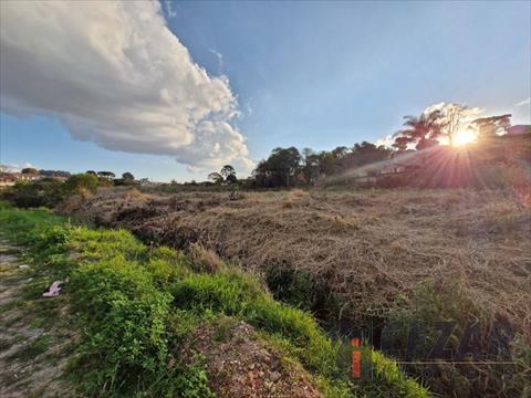 Terreno para venda no Paloma em Colombo com 2.663m² por R$ 1.200.000,00