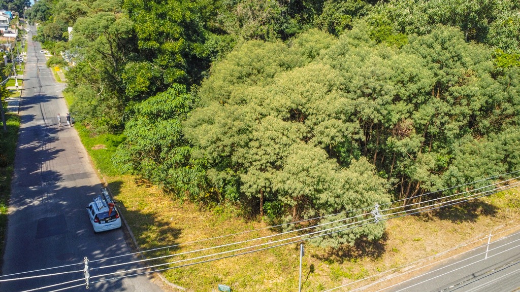 Terreno para venda no Santa Felicidade em Curitiba com 771,76m² por R$ 880.000,00