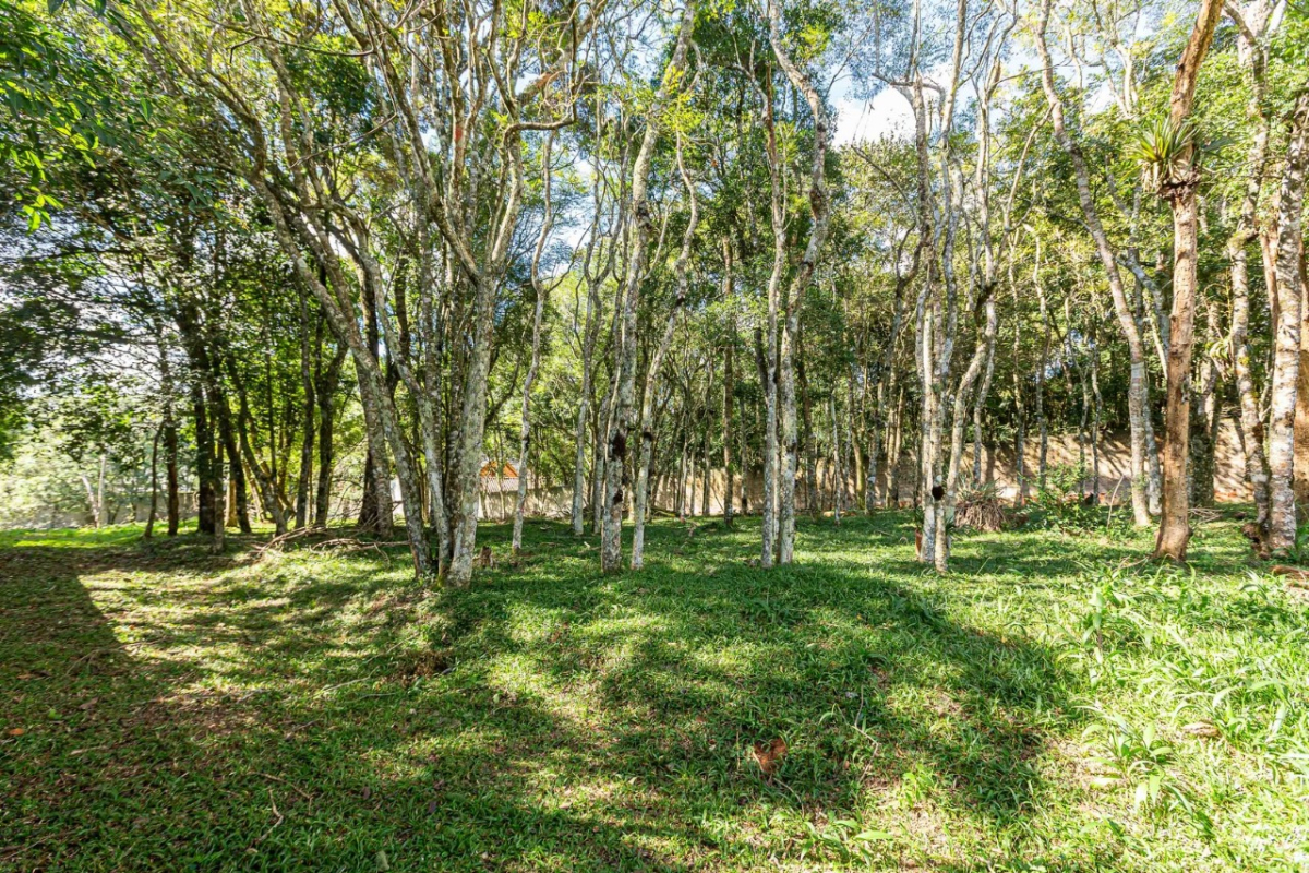 Terreno para venda no Butiatuvinha em Curitiba com 2.208,91m² por R$ 1.200.000,00
