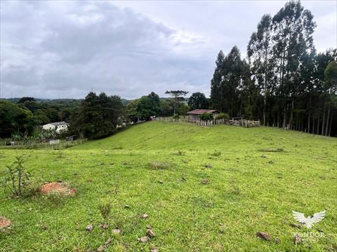 Chácara para venda no Quarteirão de São João em Campo Largo com 30.250m² por R$ 580.000,00