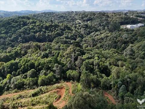 Terreno / Lote para venda no  em Almirante Tamandaré com 8.710m² por R$ 1.150.000,00