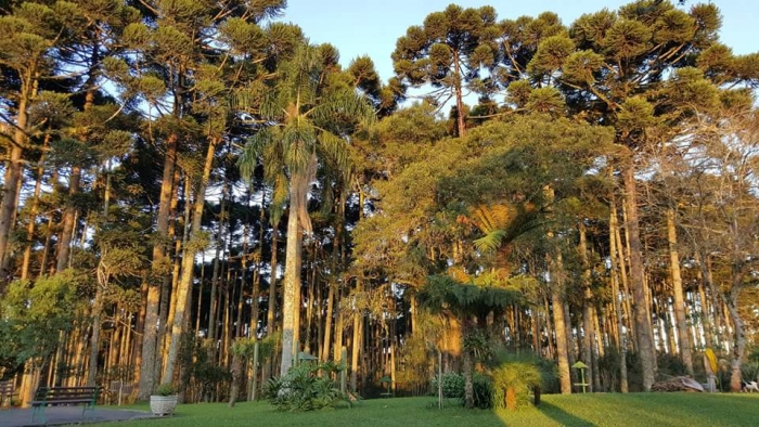 Terreno para venda no Vila Fuck em Piraquara com 1.318,34m² por R$ 922.838,00