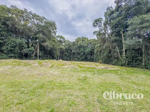 Terreno / Lote para venda no Jardim Pio XII em Pinhais com 3.794m² por R$ 1.263.491,00